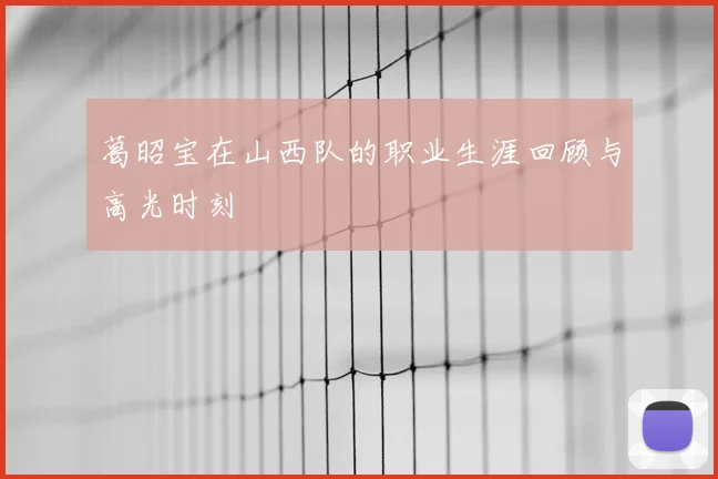 葛昭宝在山西队的职业生涯回顾与高光时刻